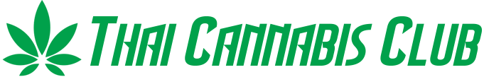 Thai Cannabis Club