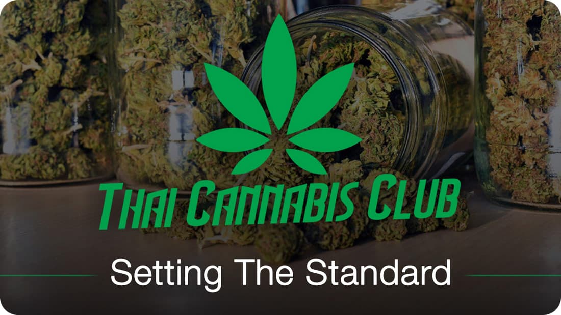 Pioneering Cannabis Dispensaries across Thailand