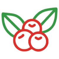 berry