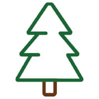 pine