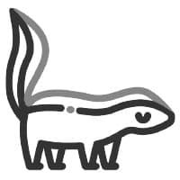 skunk