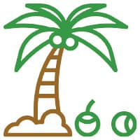 tropical
