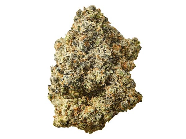 Indica Dominant Hybrid