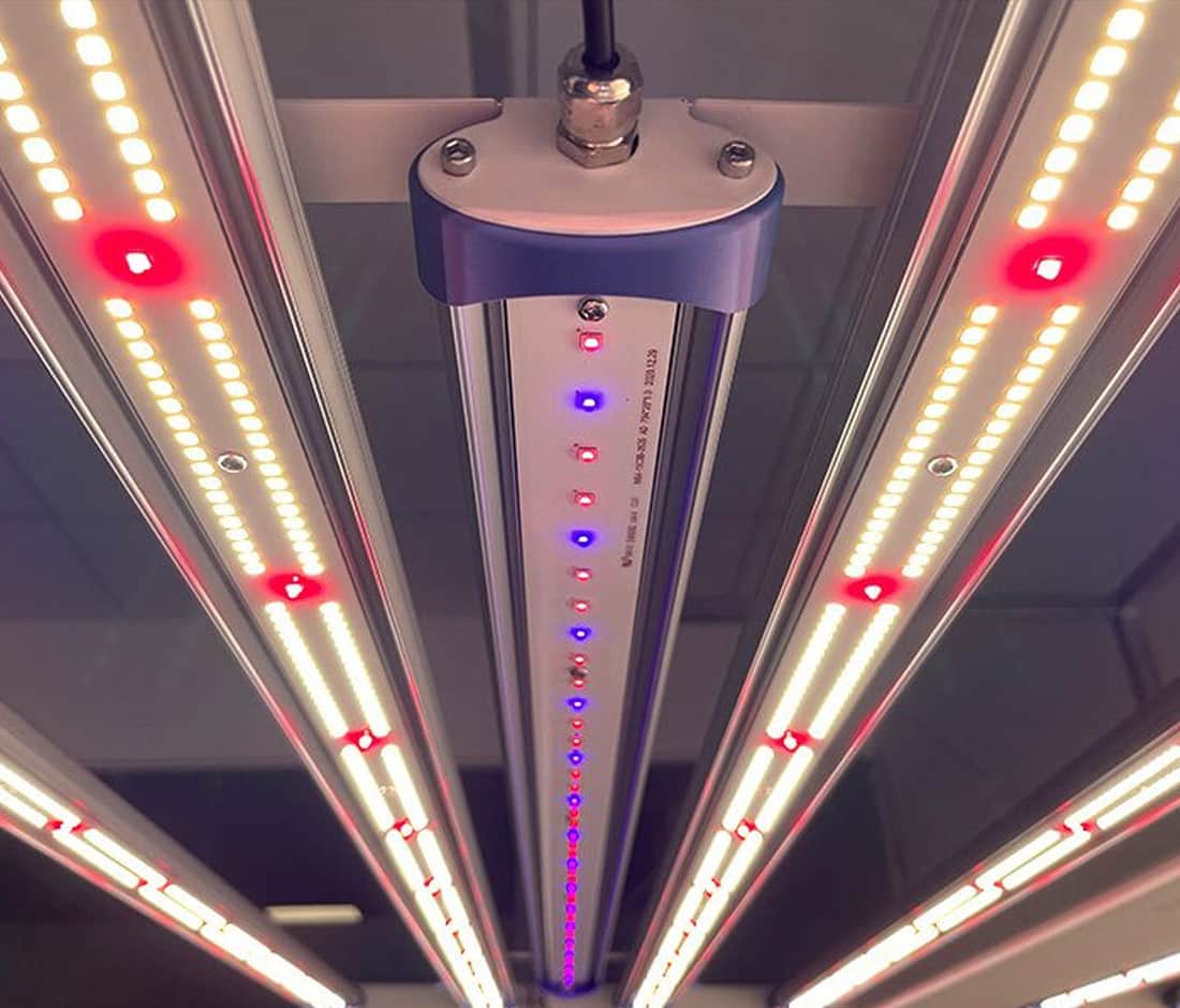 ไฟปลูกต้นไม้ LED