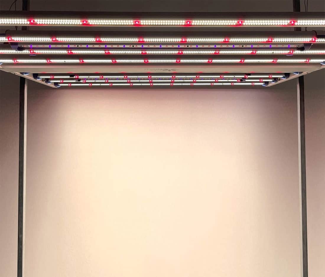 ไฟปลูกต้นไม้ LED